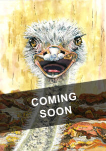 Jan-Barry-Ostrich-Odyssey-Cover-Coming-Soon